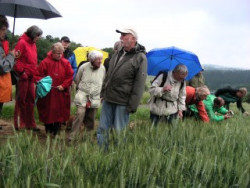 Wolfgang Ehmke stellt das Feldflora-Reservat Hausen vor