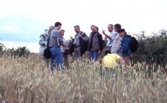 Exkursion während der Tagung zum Schutz der Ackerwildkräuter in Karlstadt (2004)