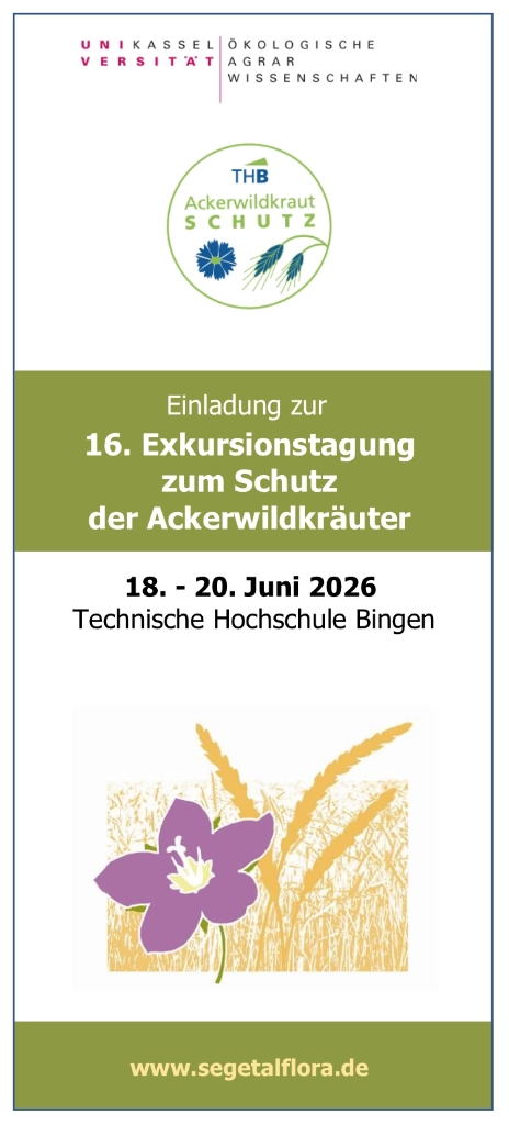 Cover der Einladung zur Exkursion in Bingen 2026.