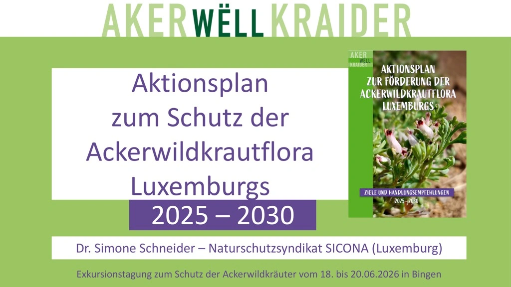 Titelseite: Aktionsplan zum Schutz der Ackerwildkrautflora Luxemburgs 2025–2030