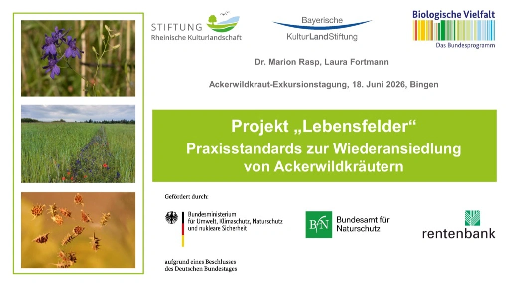 Titelseite: Projekt „Lebensfelder“ – Praxisstandards zur Wiederansiedlung von Ackerwildkräutern