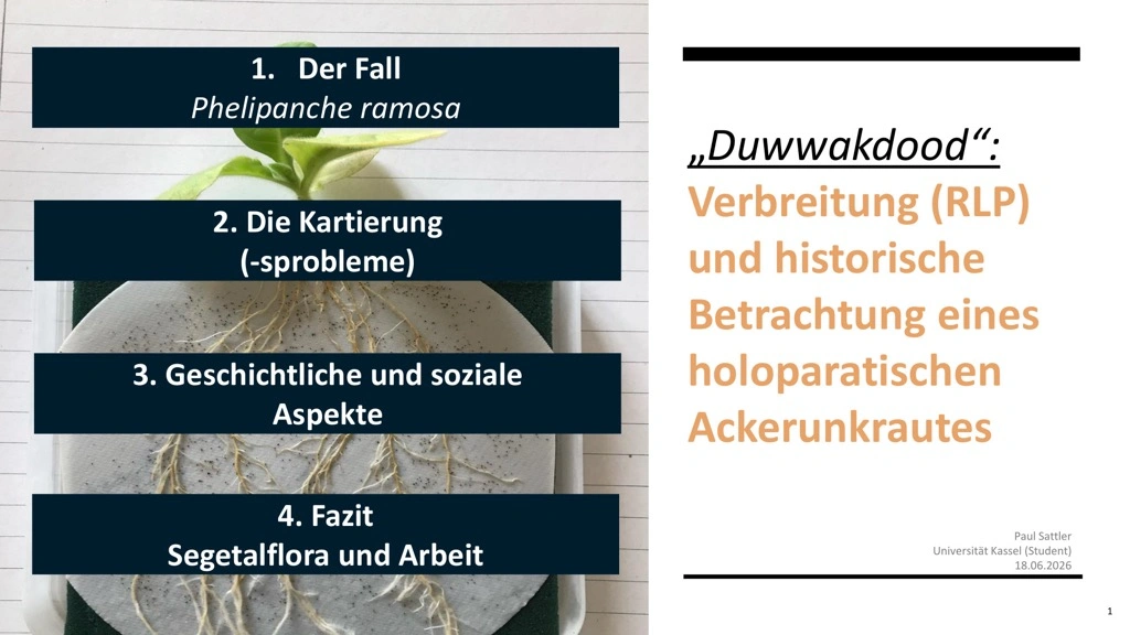 Titelseite: „Duwwakdood“: Verbreitung (RLP) und historische Betrachtung eines holoparasitischen Ackerunkrautes (Phelipanche ramosa)