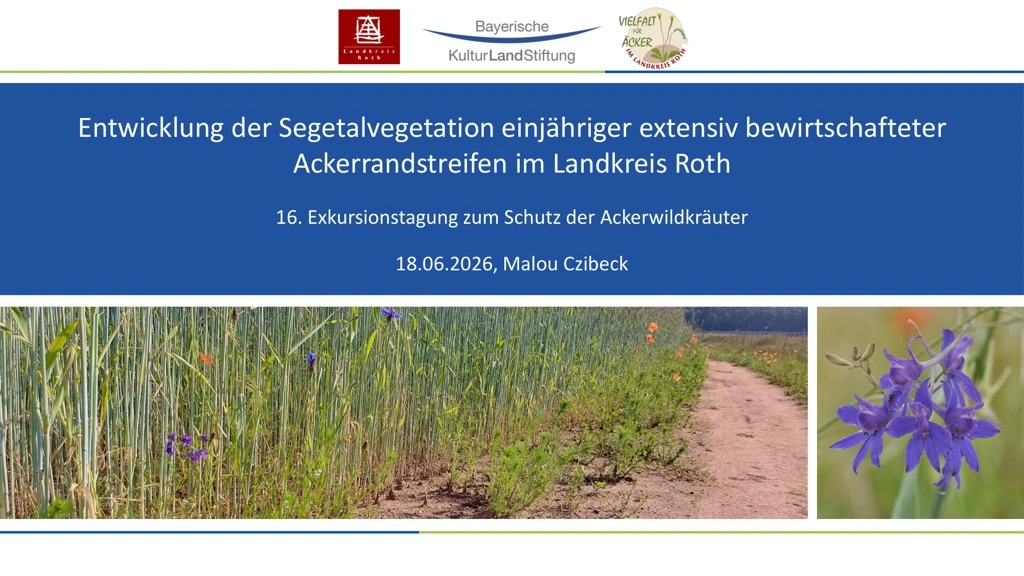 Titelseite: Entwicklung der Segetalvegetation einjähriger extensiv bewirtschafteter Ackerrandstreifen im Landkreis Roth