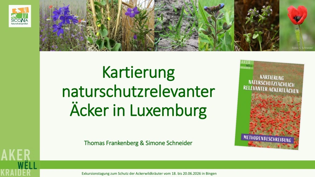 Titelseite: Kartierung naturschutzrelevanter Äcker in Luxemburg