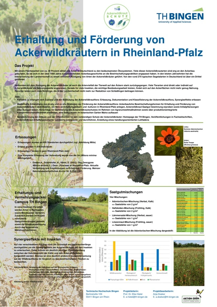 Titelseite: Erhaltung und Förderung von Ackerwildkräutern in Rheinland-Pfalz